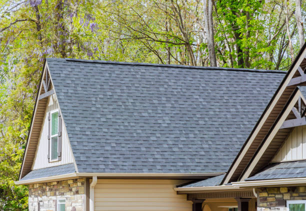 Best Roof Insulation Installation  in Payne, OH